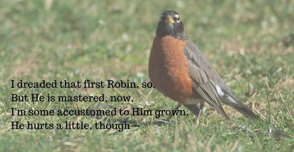 I dreaded that first Robin, so